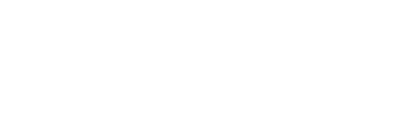 Ibagari