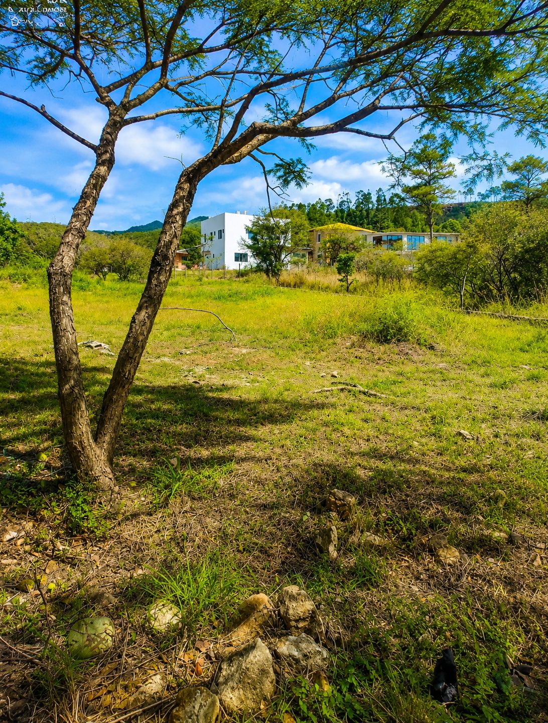 Terreno en Villa Arcadia