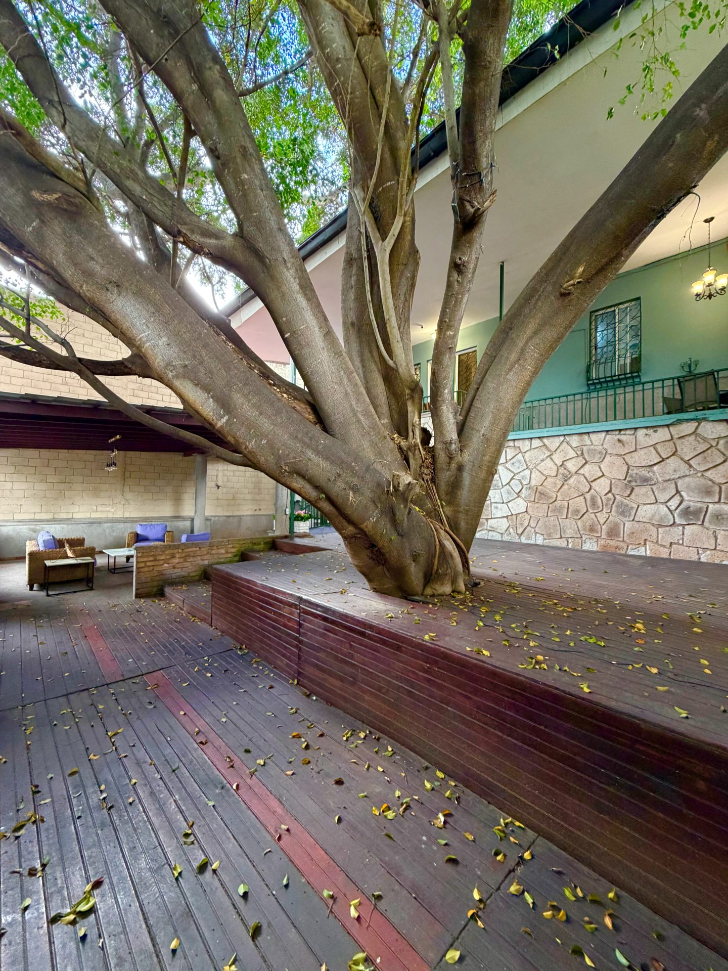 Casa en Lomas del Mayab